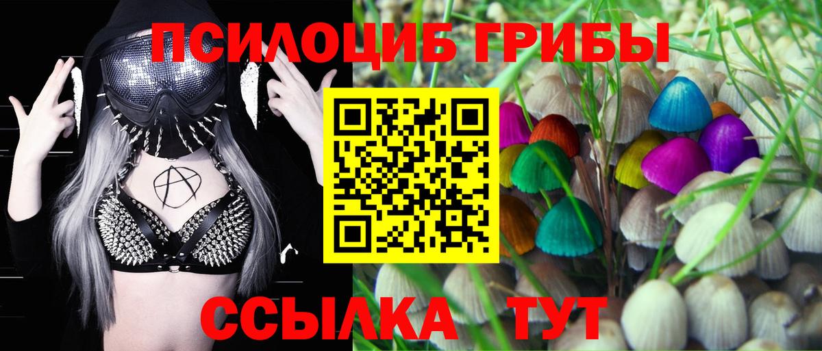 Галлюциногенные грибы прущие грибы Владикавказ