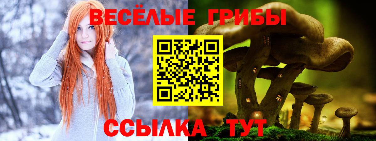 Галлюциногенные грибы MAGIC MUSHROOMS  Вход с VPN  Владикавказ  Псилоцибиновые грибы GOLDEN TEACHER 