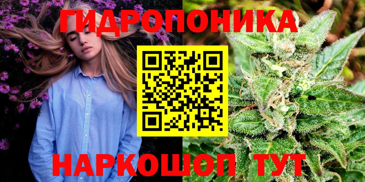 Бошки марихуана семена Владикавказ